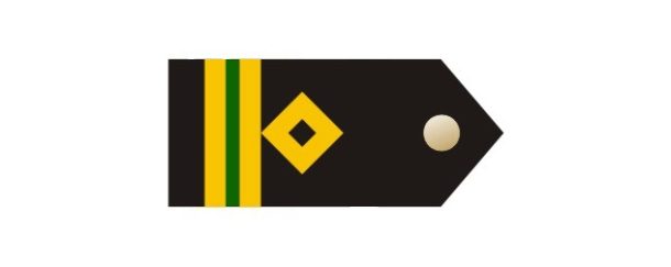 What is Electrical Engineer, Officer On Board